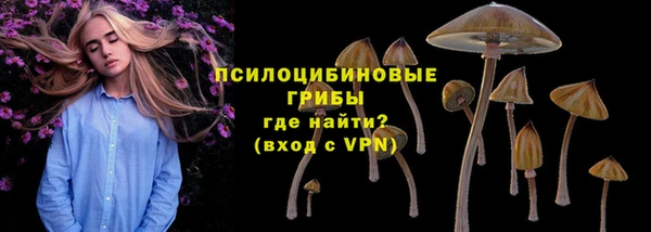 a pvp Ростов