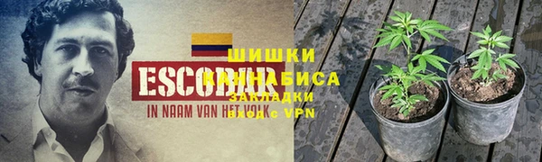 a pvp Ростов