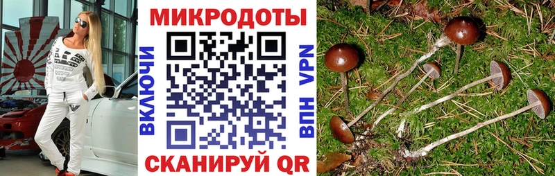 Псилоцибиновые грибы Magic Shrooms  Зеленоградск 
